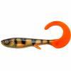  Curly (Perch) 