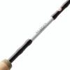  Eciton 