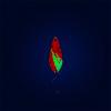  Juppy Spoon 1,2 g - Frayed Tear | The Flash 