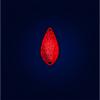  Totem Spoon 3,0 g - DRGN | The Signal 