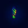  Wenom Spoon 2,5 g - Trinary | Black Firetiger (Holo) 
