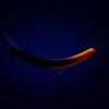  Tumbling Banana - Tailburn | Heatstroke (Chrome) 