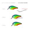  Body: SMTX-H Crankbait - Embers | Hazard Plasma 
