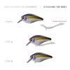  Body: SMTX-H Crankbait - TTN | Sexy Sandeel (Holo) 