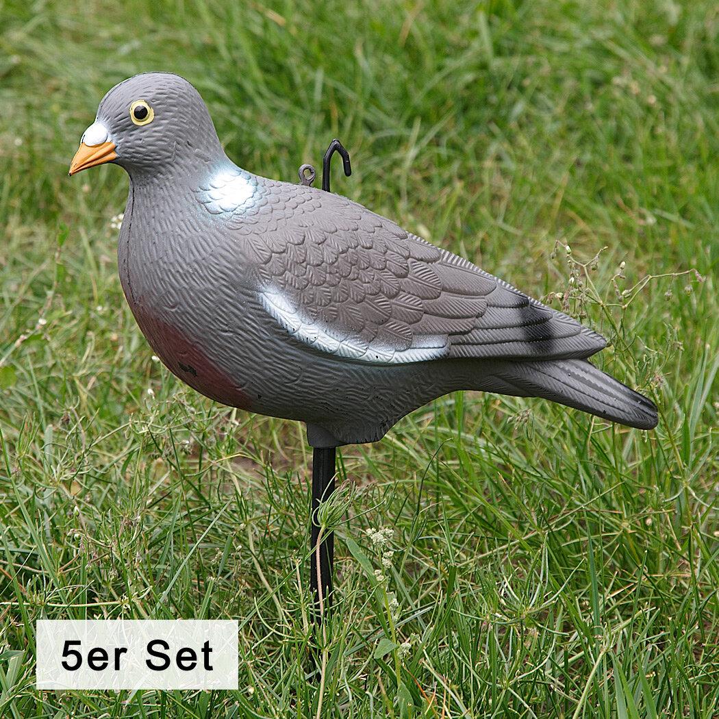  Ringeltaube Vollschale (5er Set) 