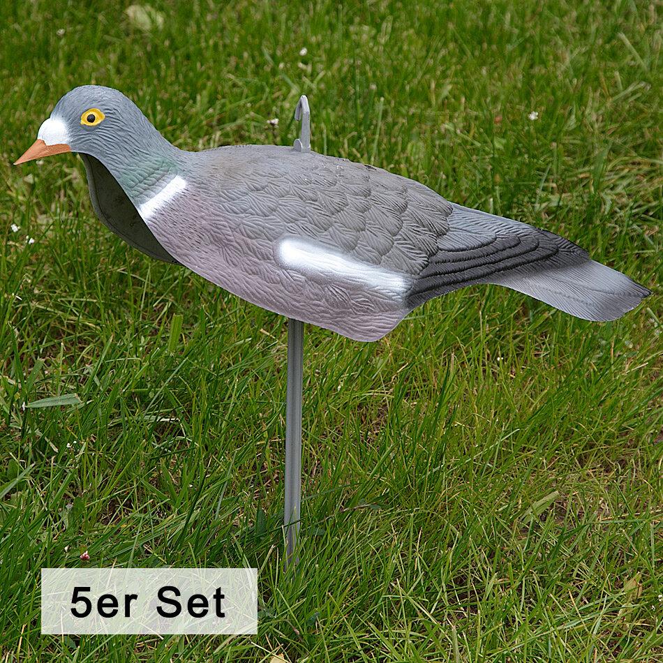  Ringeltaube Halbschale (5er Set) 