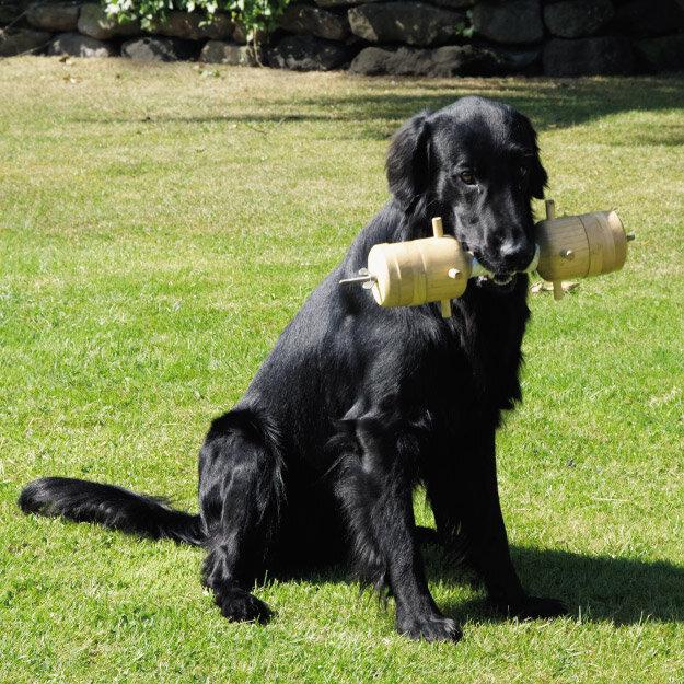  Apportierbock Jagd-Gebrauchshund 
