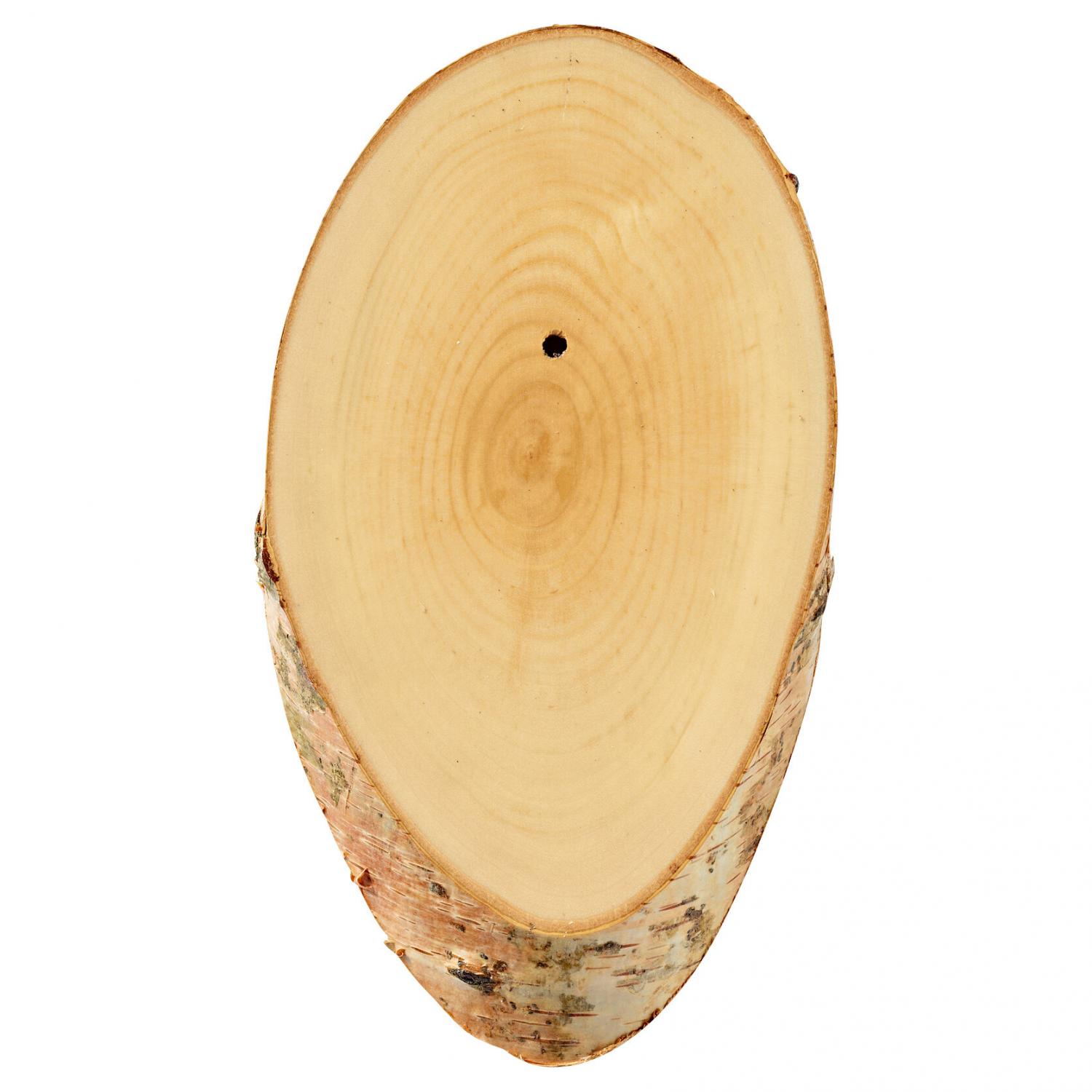  Birch wood trophy board (slice) 