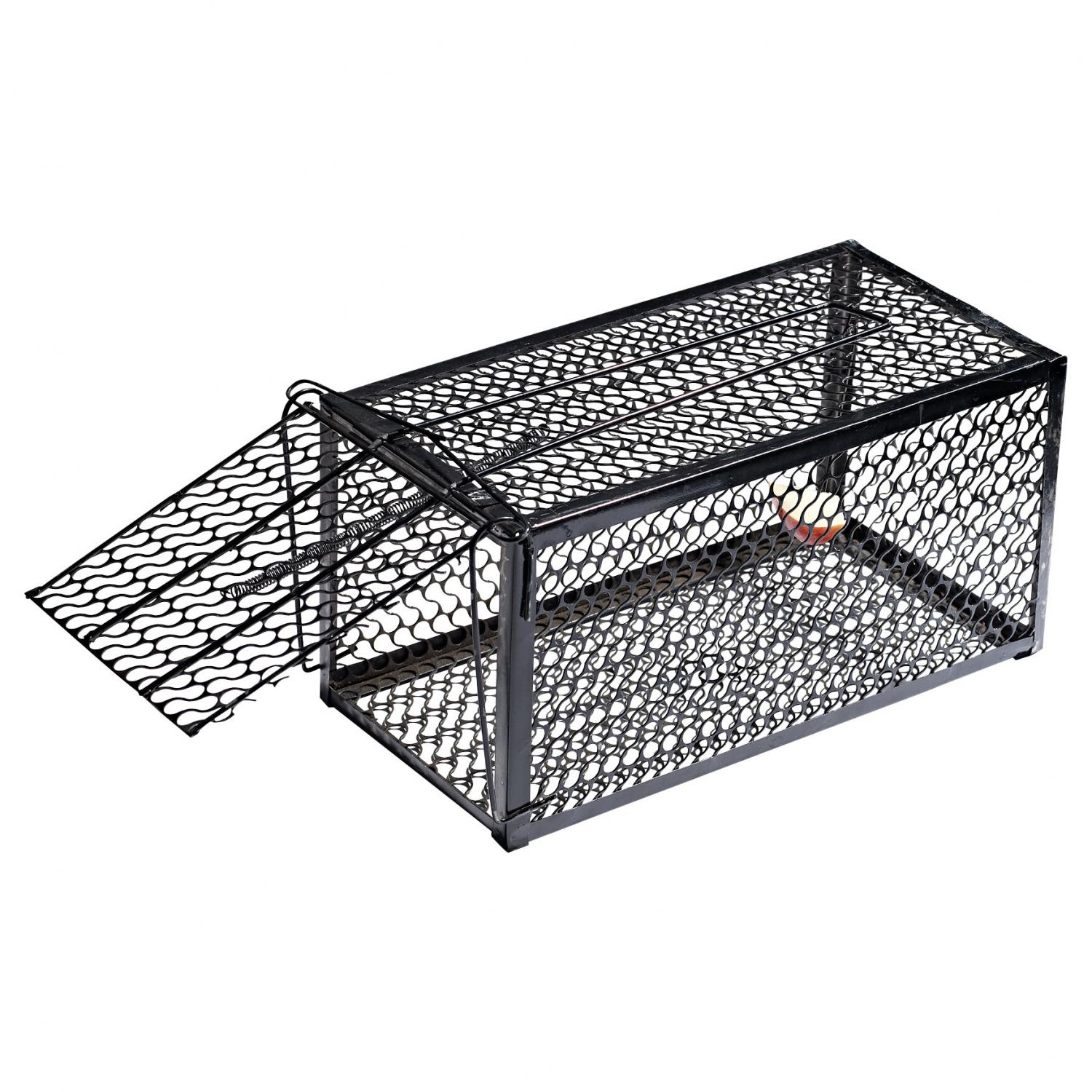  Kleine Kastenfalle 