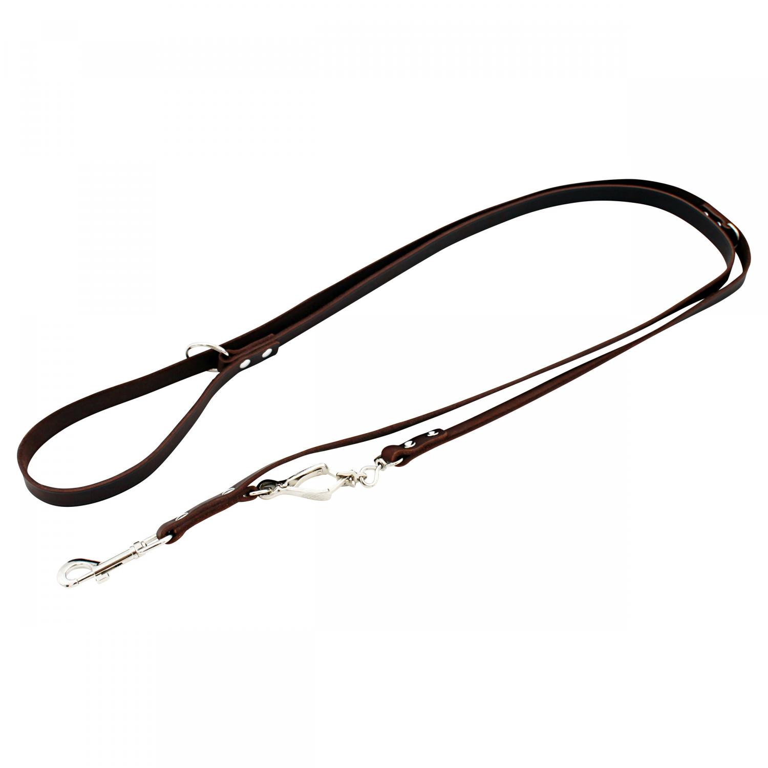  Leder-Hundeleine 