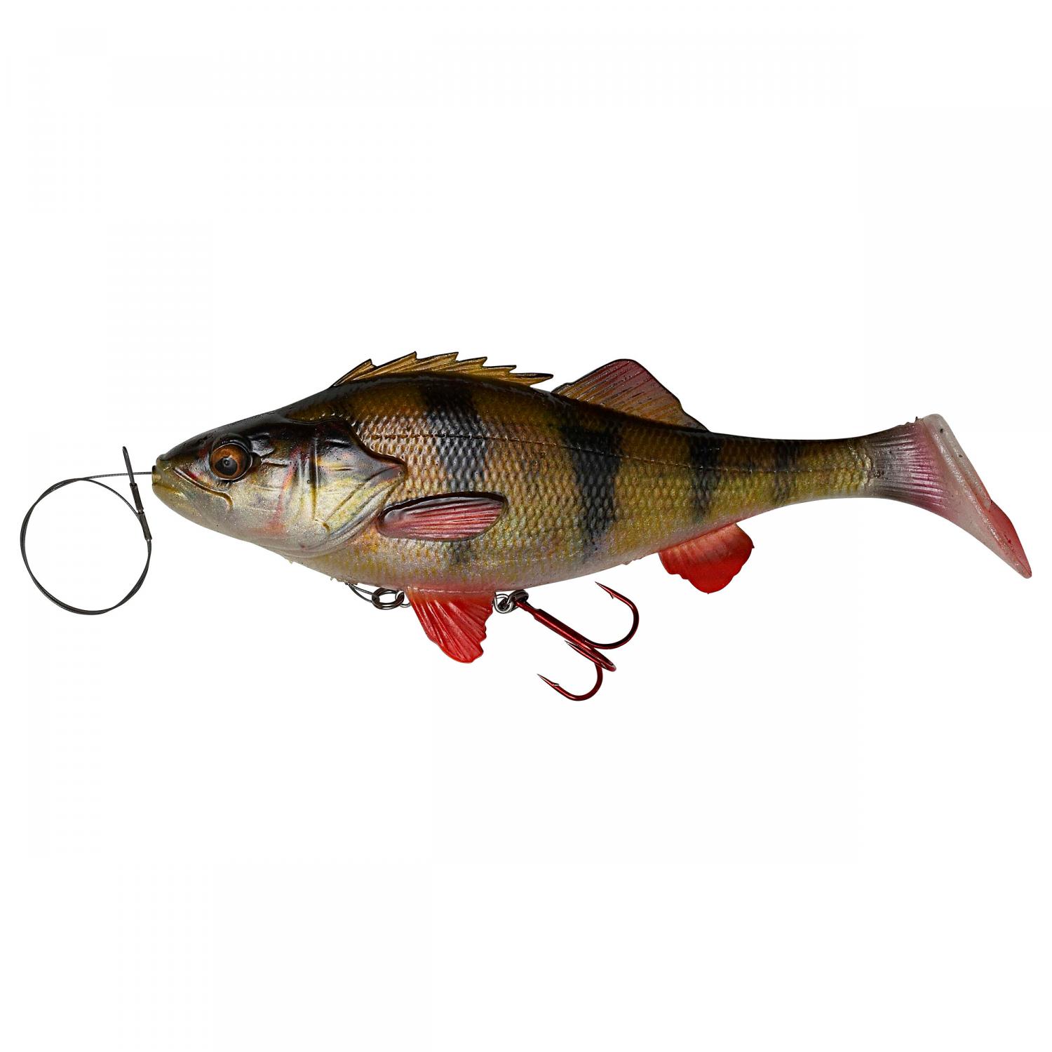  Shad 4D Perch (Perch) 