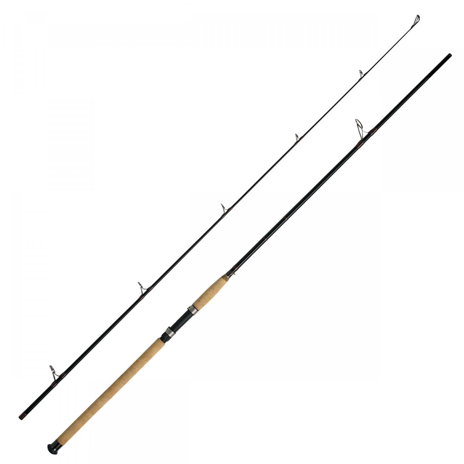 WFT Meeresrute Charisma Power II (50-190 g) 