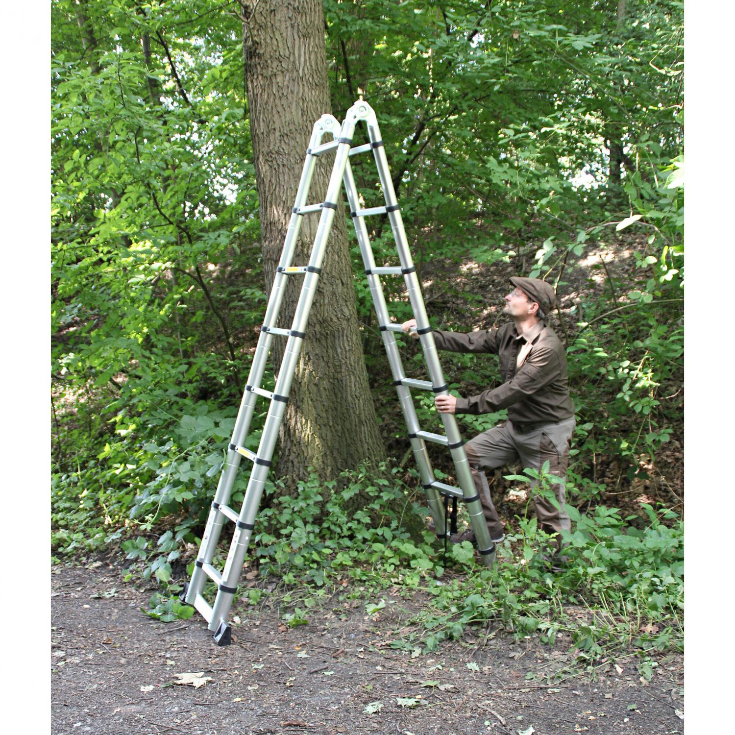  Tele-Revierleiter 