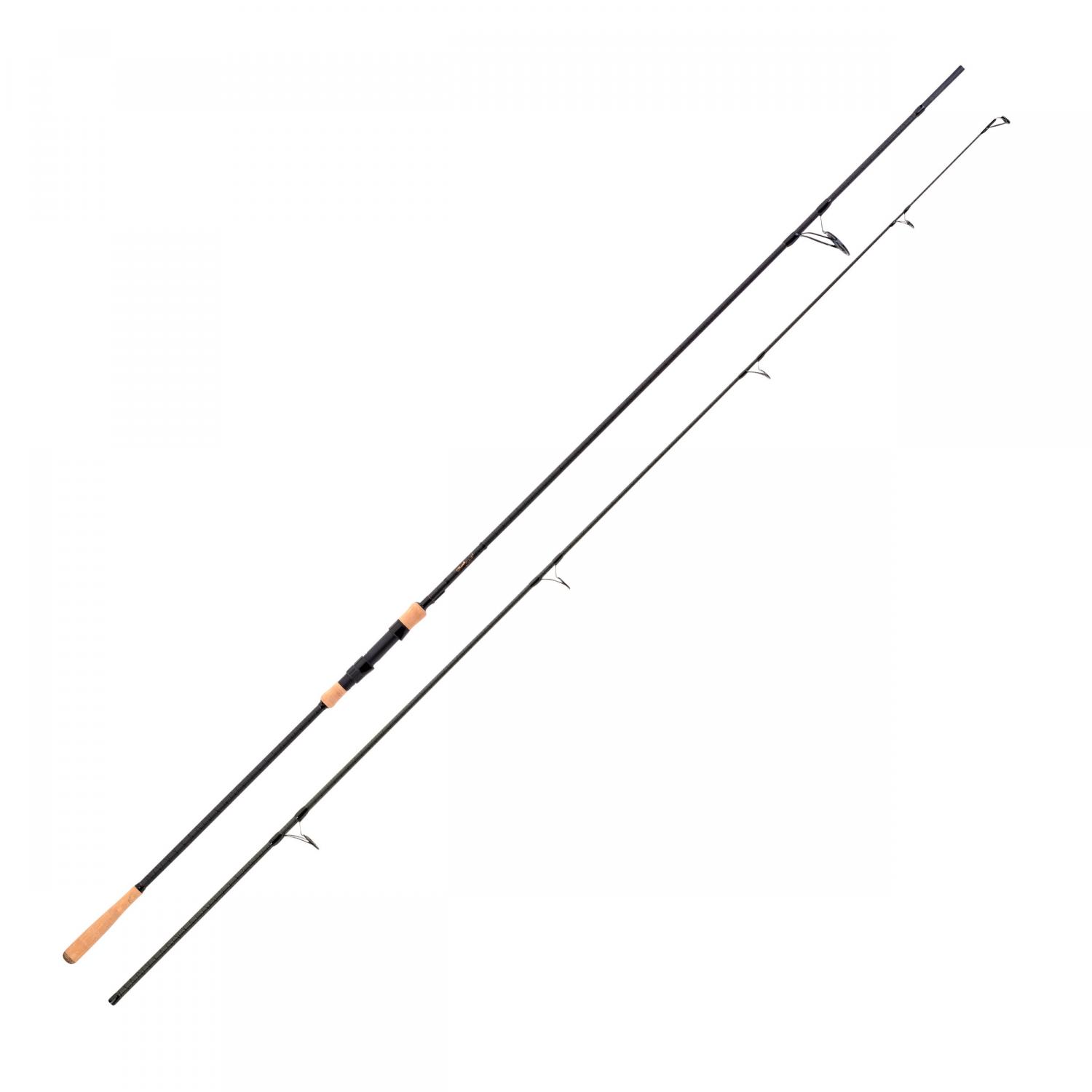  Karpfenrute Bank Stick 