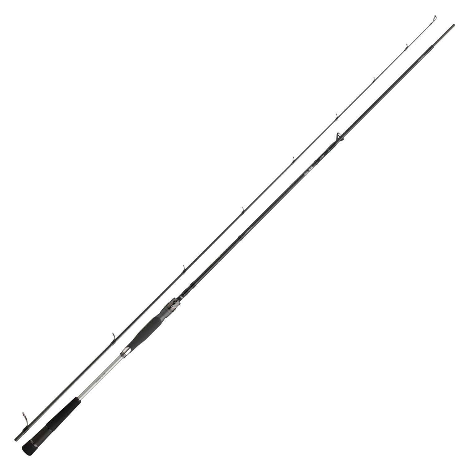 Daiwa Meerforellenrute Morethan AGS Seatrout 
