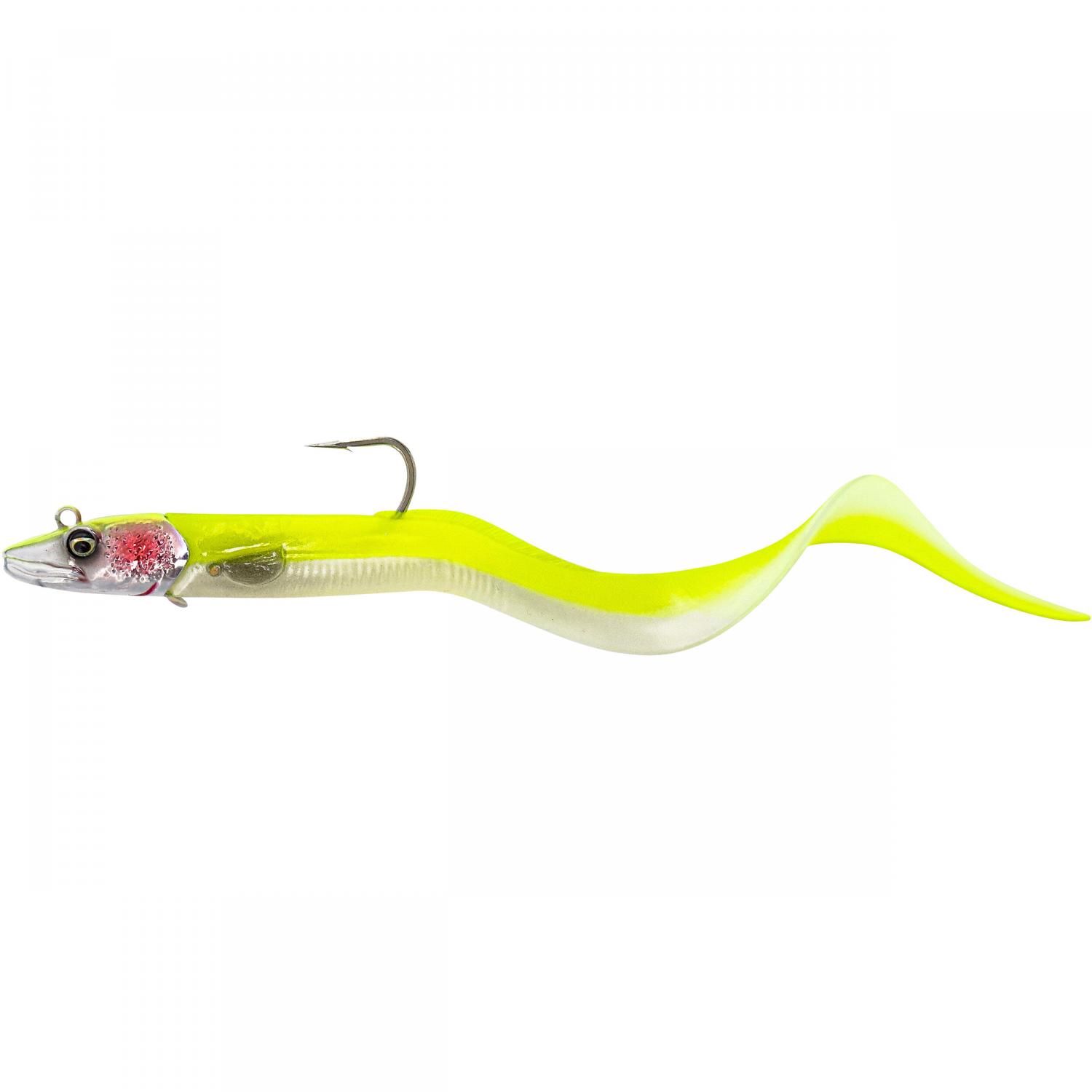  Conger Eel  (Lemonback) 