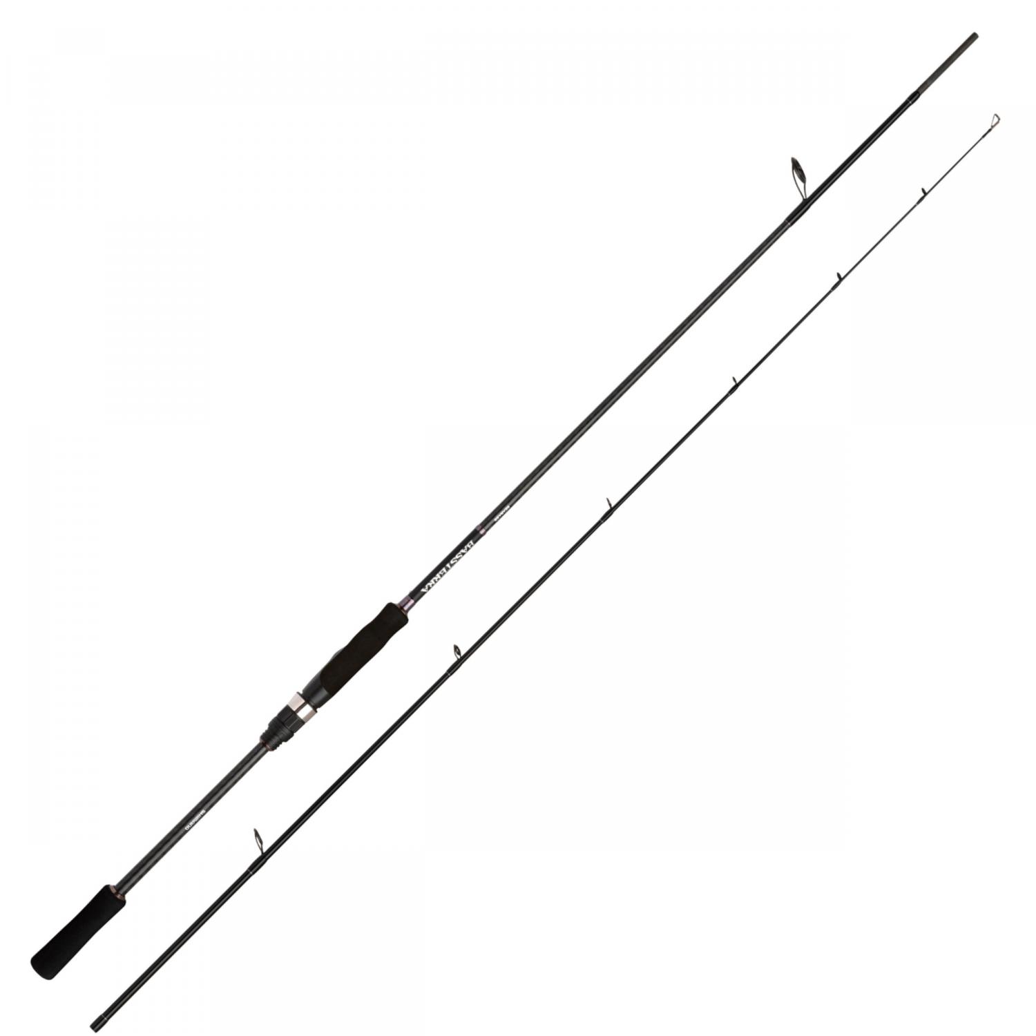  Bassterra A Seabass Spinning 