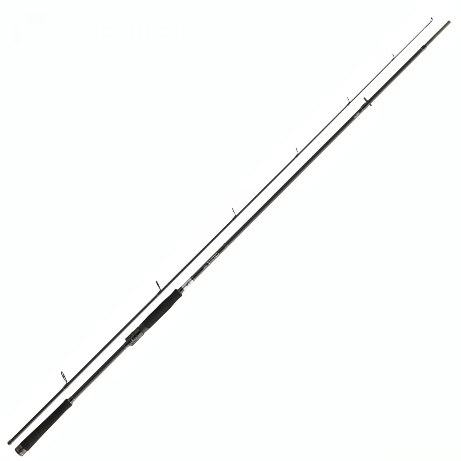 Daiwa Calida Serie 