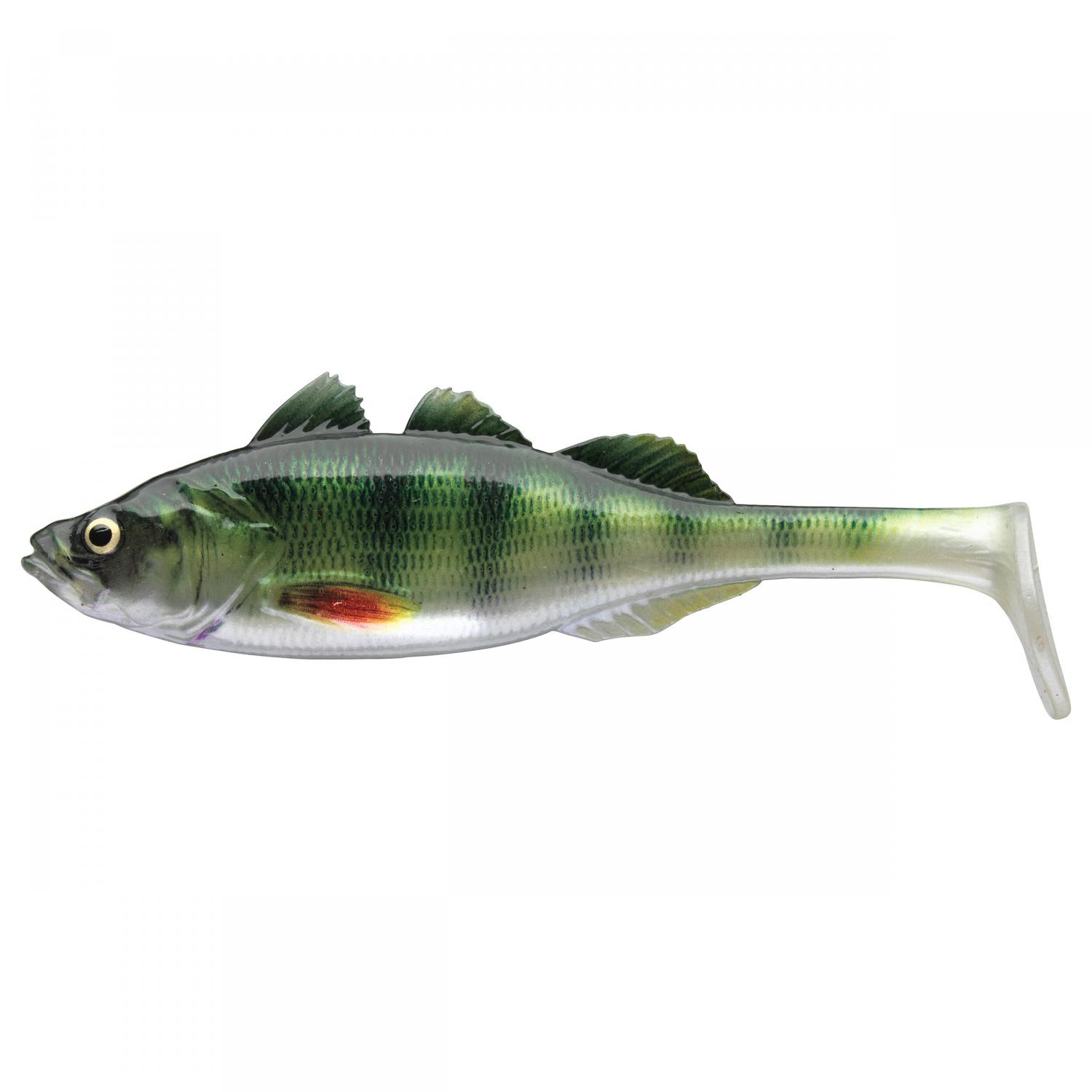  Live Perch (Green Perch) 