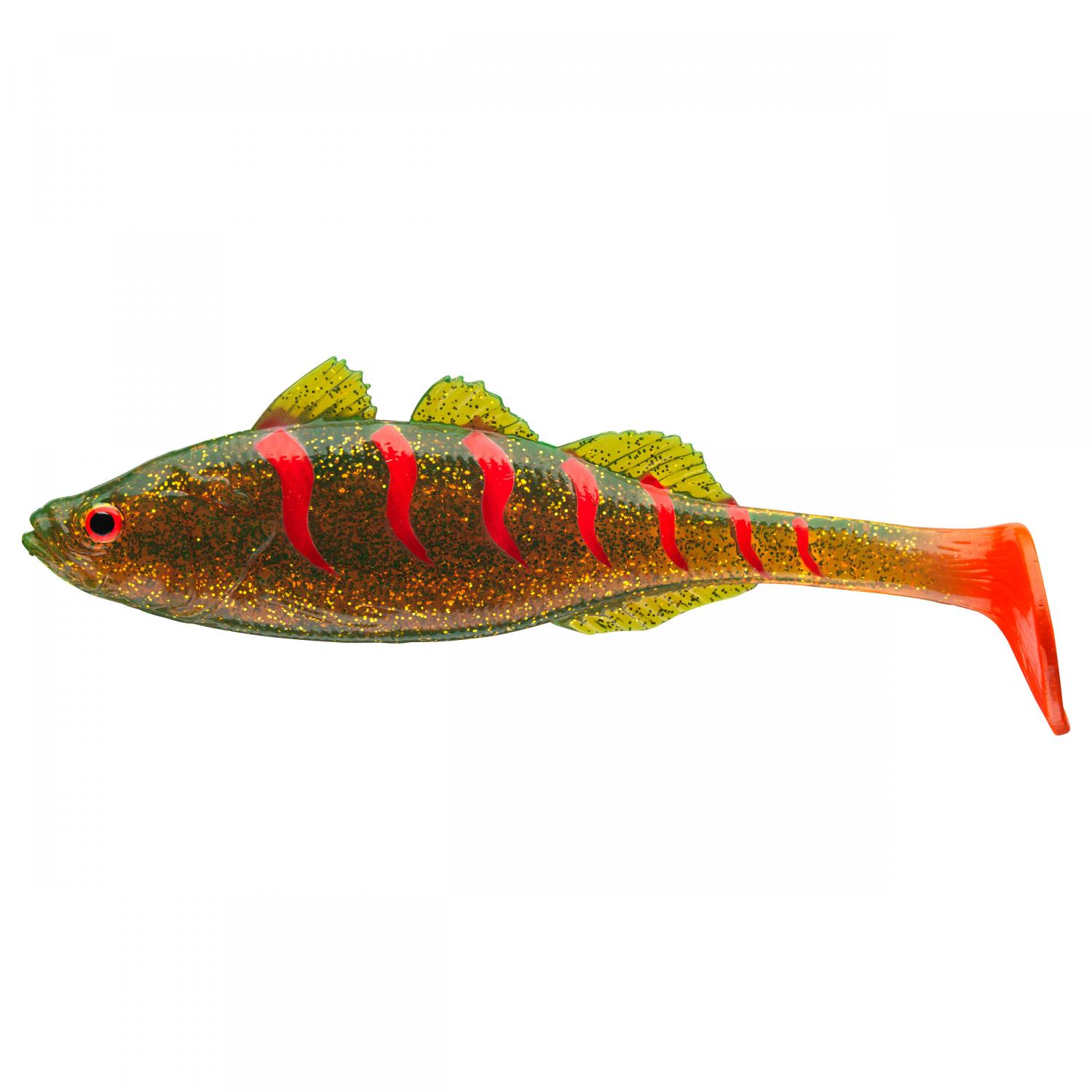  Live Perch (Motor Oil Tiger) 