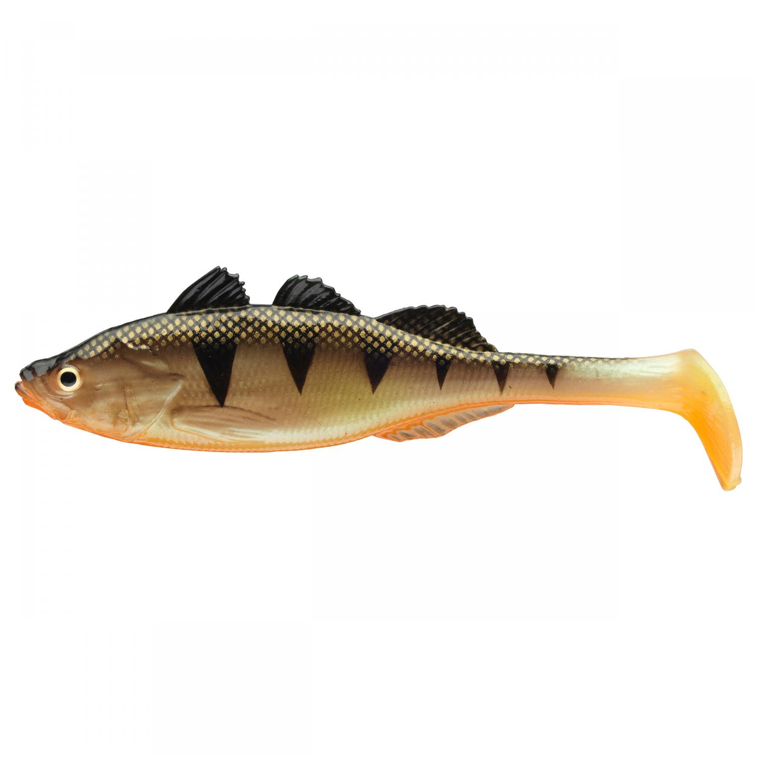  Live Perch (Natural UV Perch) 