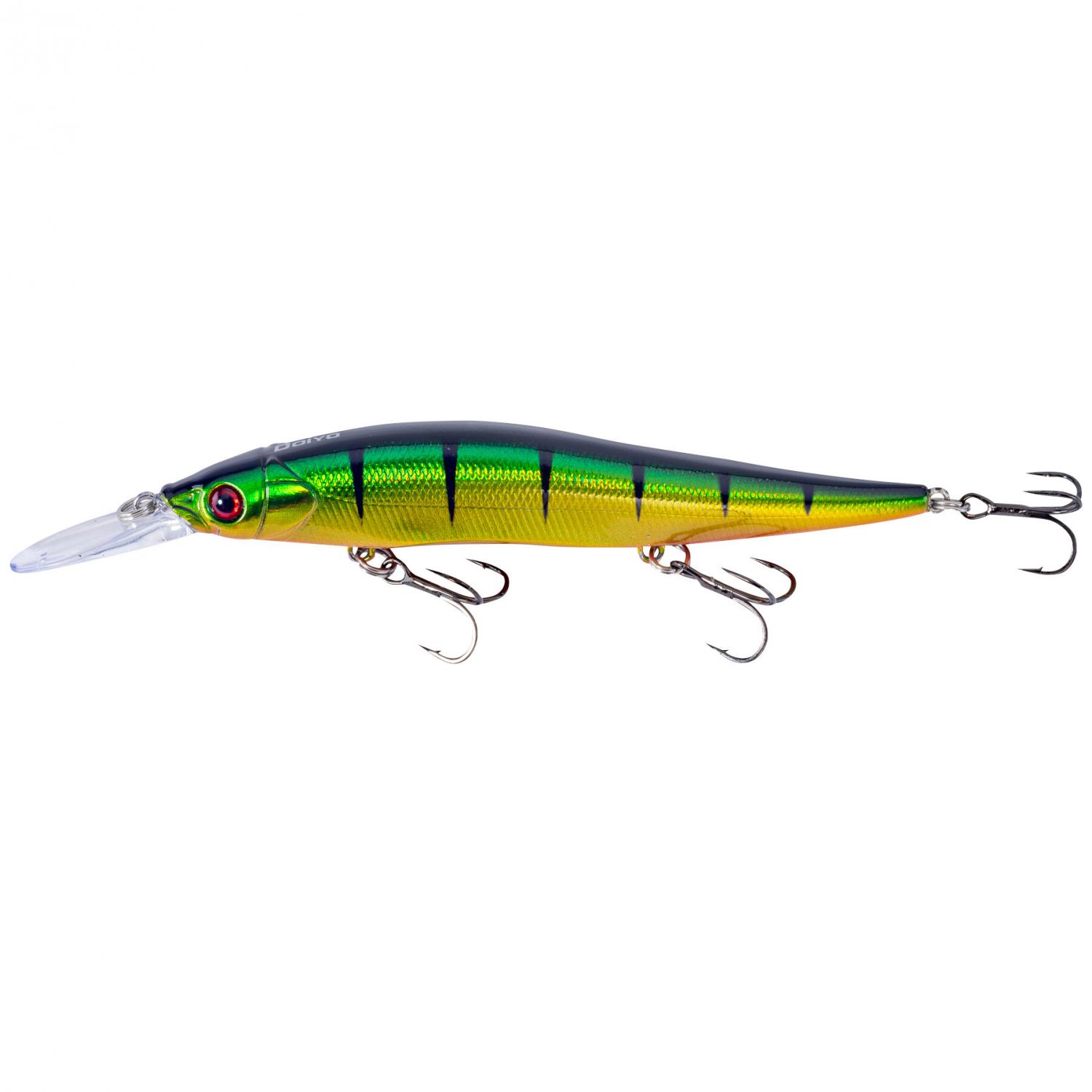  Apolle Reed (Golden Perch) 