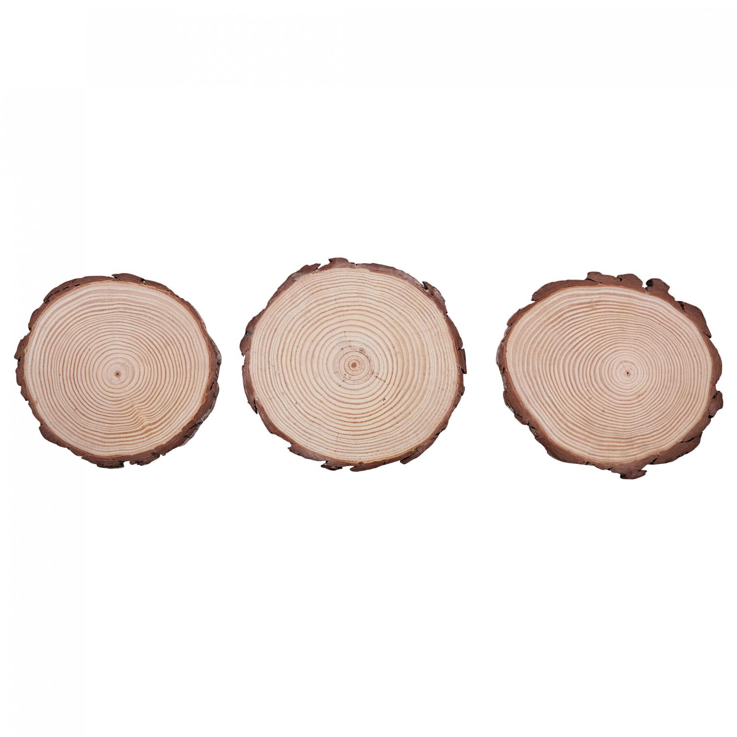  SET Trophäenbrettchen Kiefer Natur 