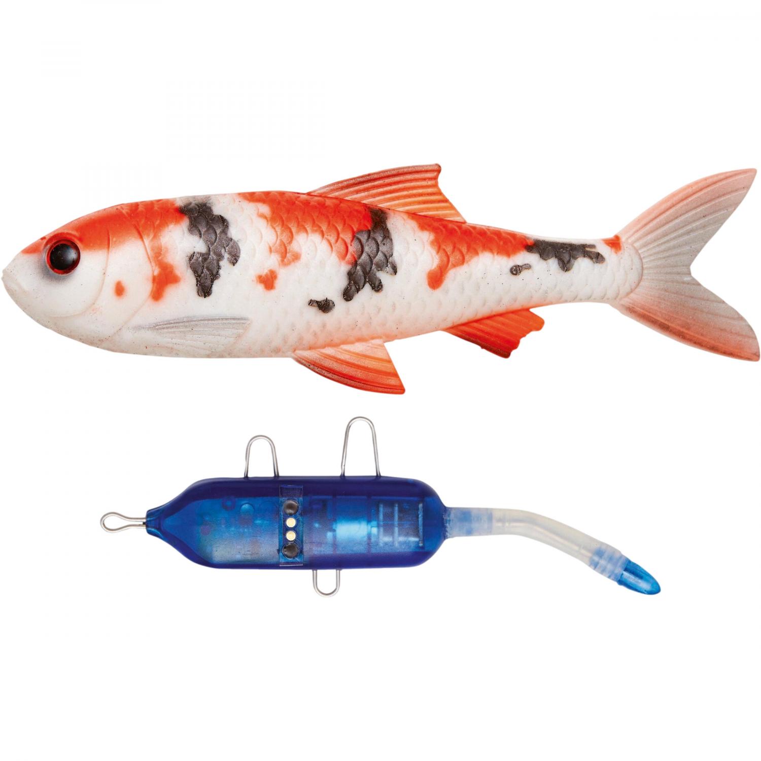 Pulz Bait Roach Kit (Koi Carp) 