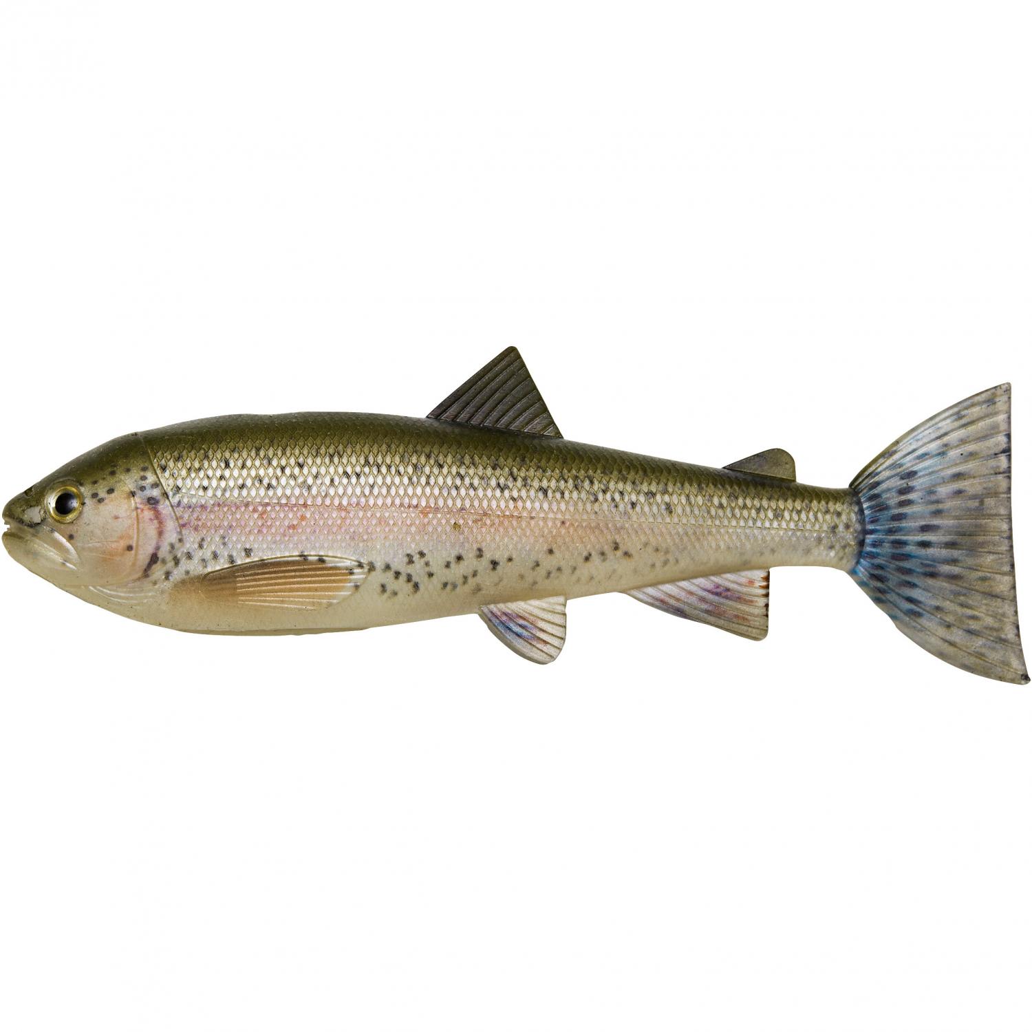  Trout Skinz (Rainbow Trout) 