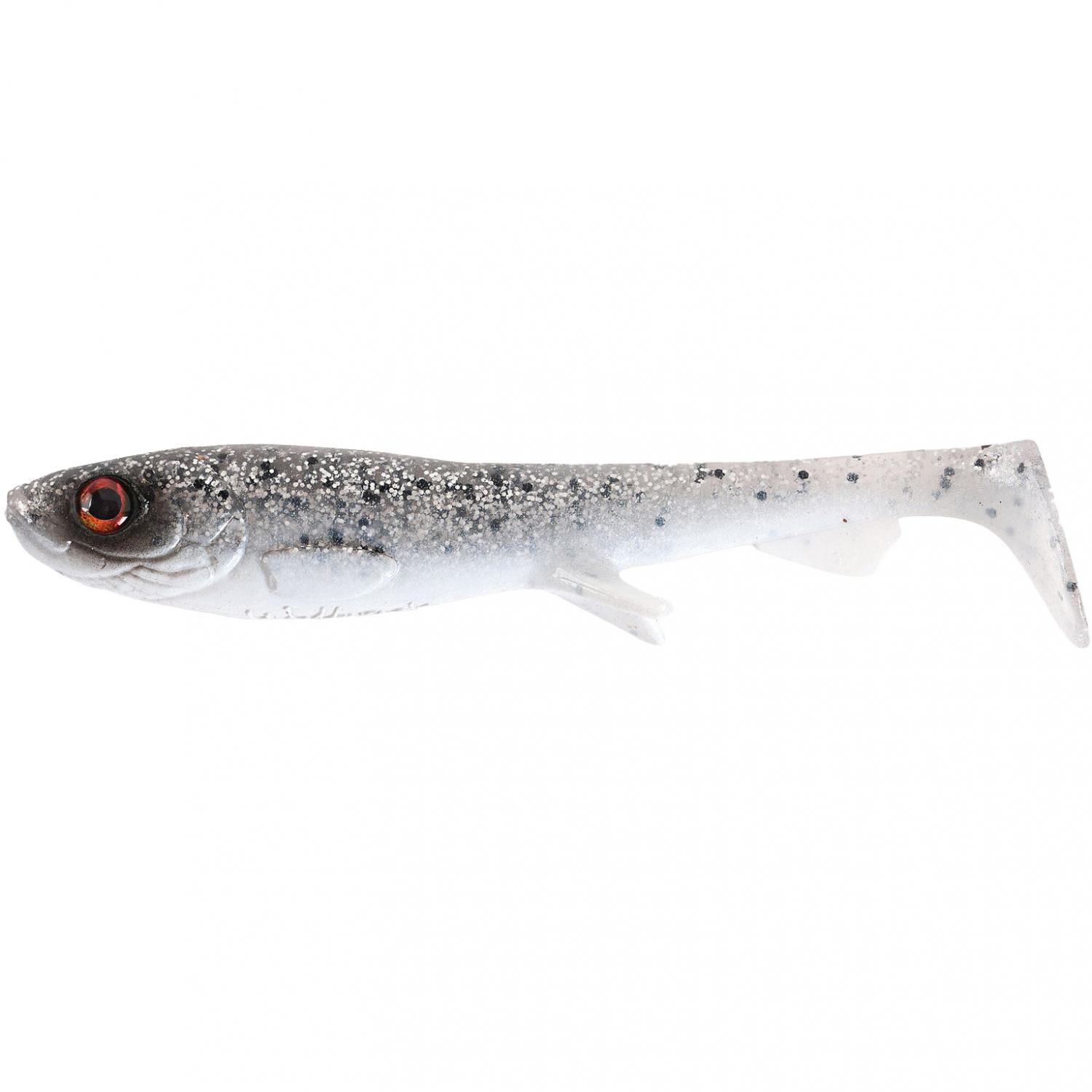  Shad (Salt n Pepper) 