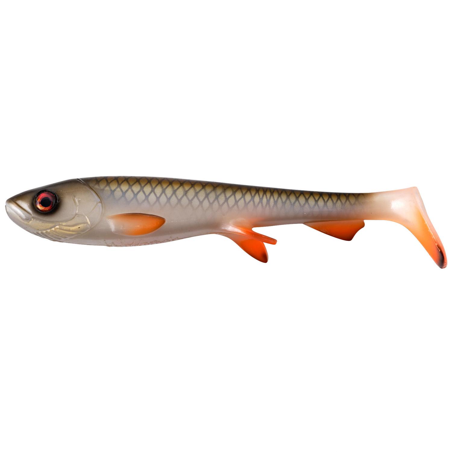  Shad (Real Roach) 