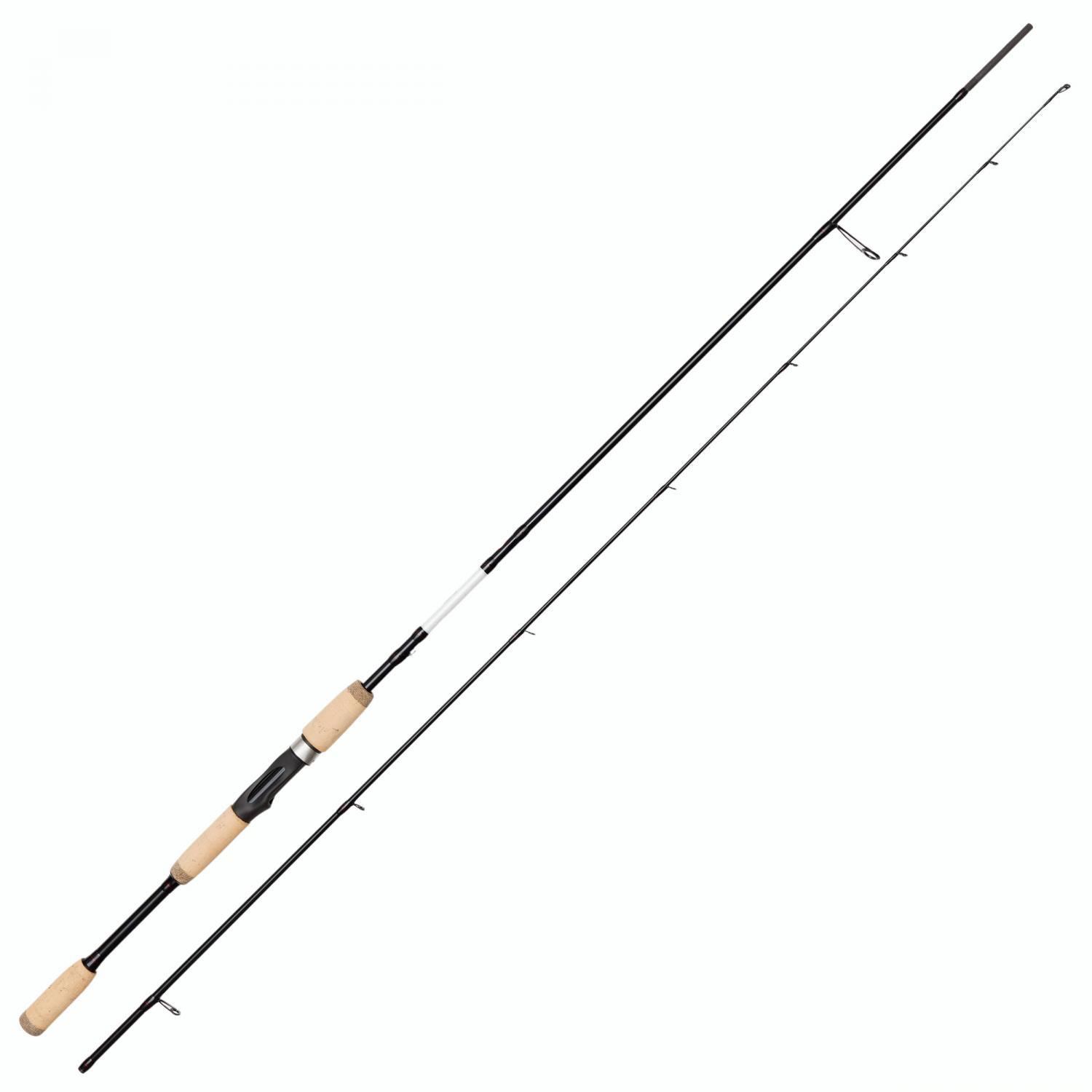  Eciton 