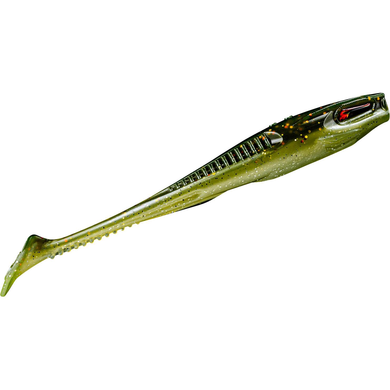  Holi Shad 5