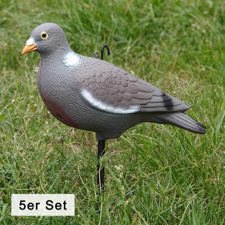  Ringeltaube Vollschale (5er Set)