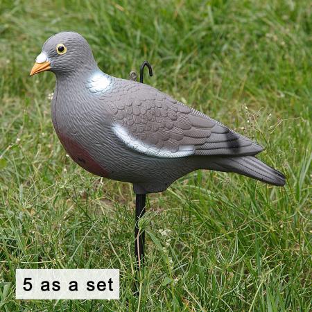  Ringeltaube Vollschale (5er Set)