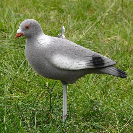  Ringeltaube Vollschale (beflockt)
