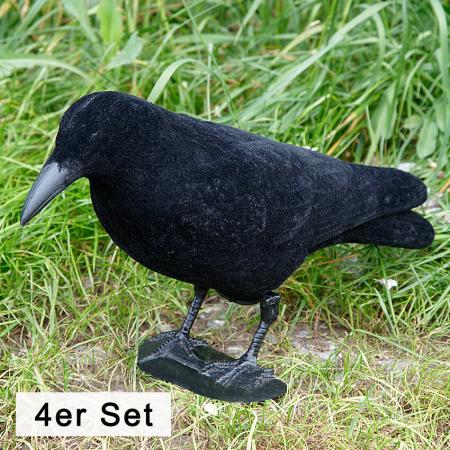  Carrion Crow, fullbodied (flocked, 4 as a set)