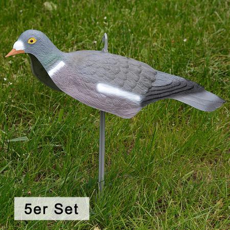  Ringeltaube Halbschale (5er Set)