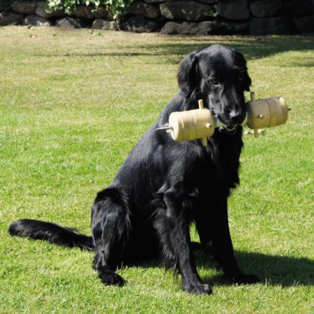  Apportierbock Jagd-Gebrauchshund