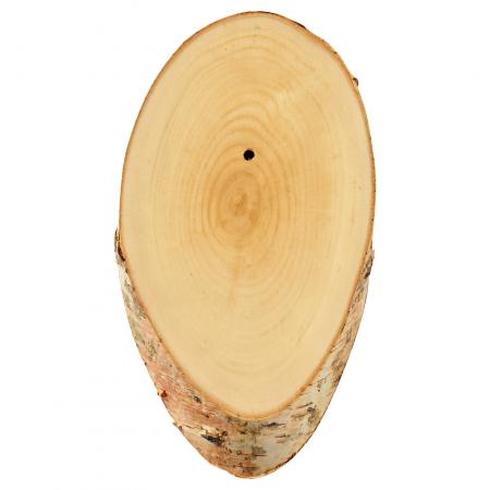  Birch wood trophy board (slice)