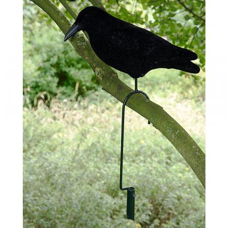  Lifthaken für Tauben/Krähen