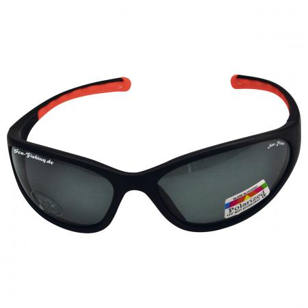  Polbrille
