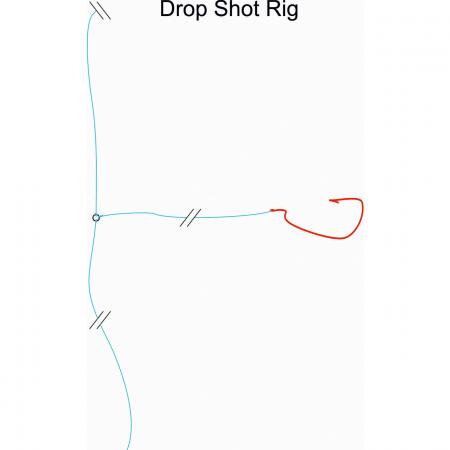 Kogha Rig Drop Shot