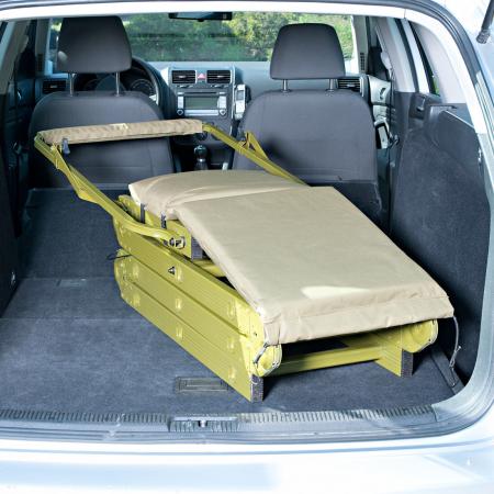  Baumsitz Waschbär
