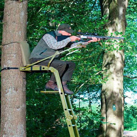  Tree Stand Waschbär