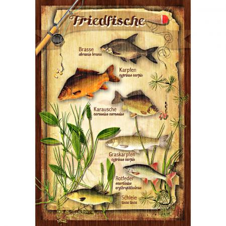  Blechschild (Friedfische)