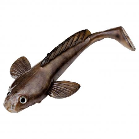 Shad Grundel (lose)