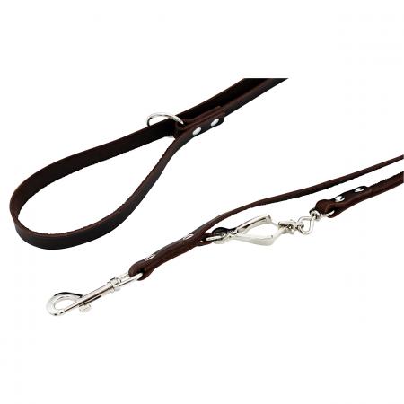  Leder-Hundeleine