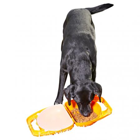  Dogs Travel Food / Water Box