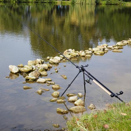 Kogha Feeder Dreibein Fulda